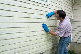 Best Vinyl Siding Installation  in Oakland, NE